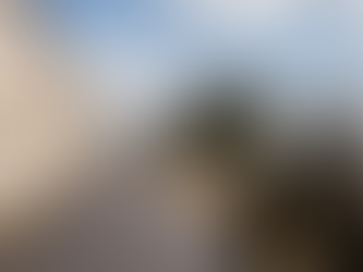 De samenwerking tussen Panther en Tzafi die de bescherming verbetert