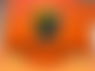 "Elke dag dat ik hier kom en een uniform draag geeft een goed gevoel in mijn hart"