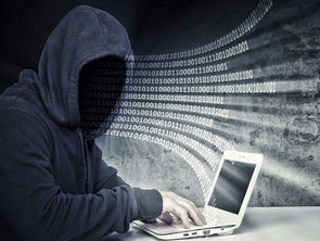 What is Hacker and Types of Hackers?