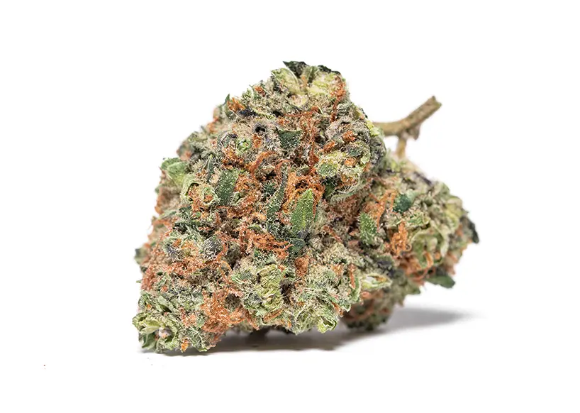 Bruce Banner (Incredible HUlk)