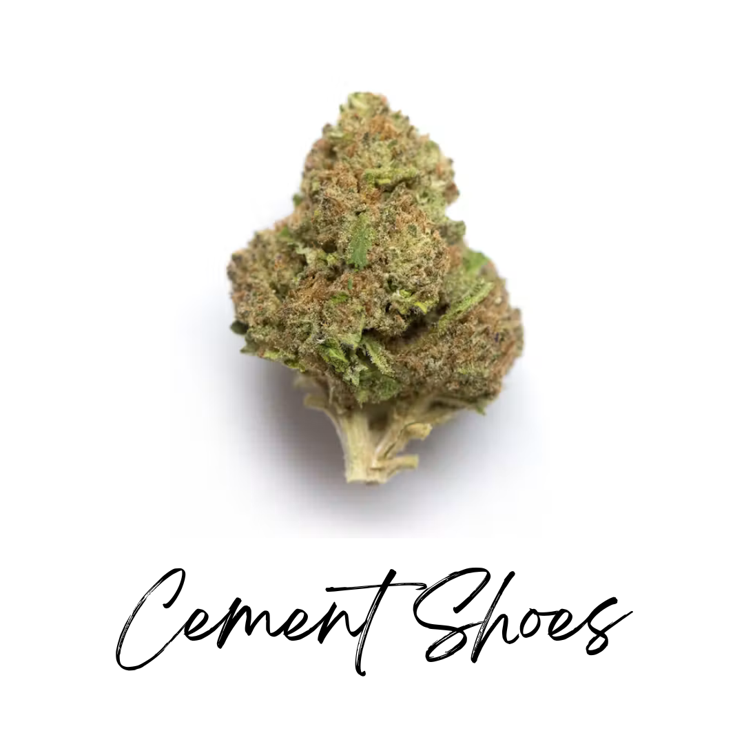 Cement Shoes