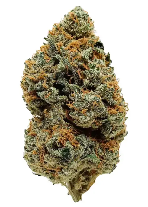 Alien Kush