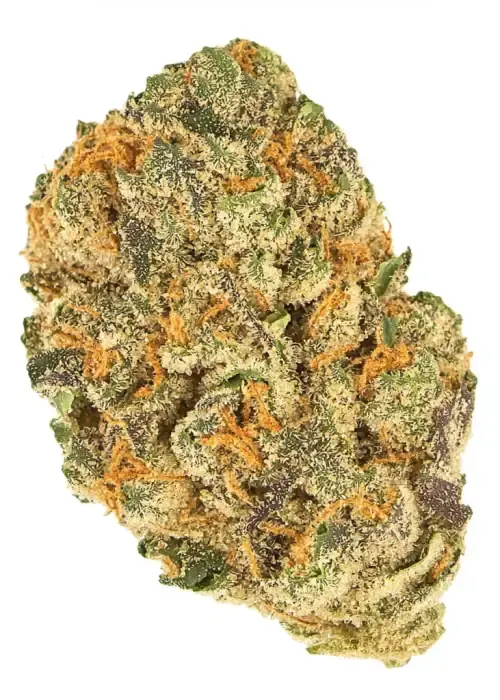 GOO BERRY