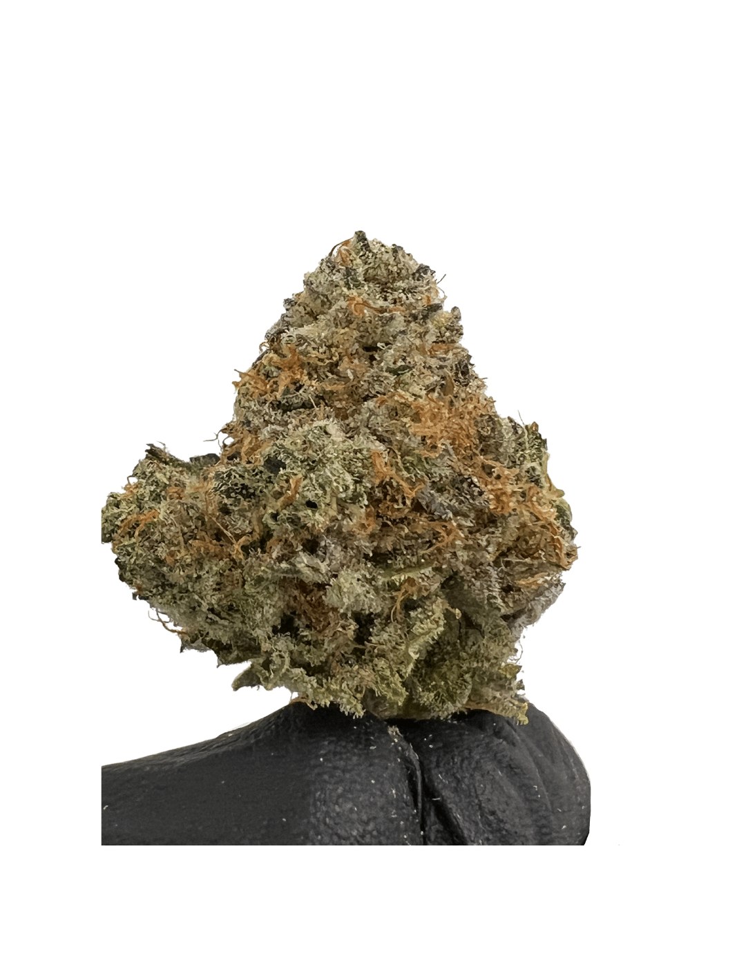 ZaZa Nightmare Runtz