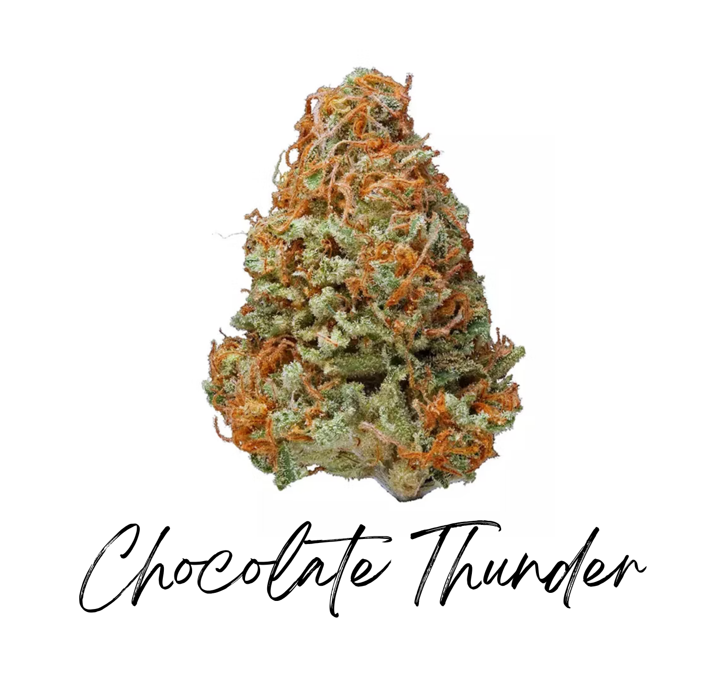 Chocolate Thunder