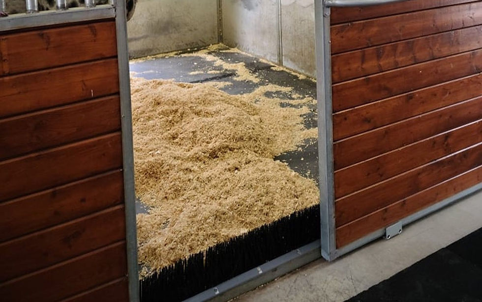 The Bedding Blocker shavings guard