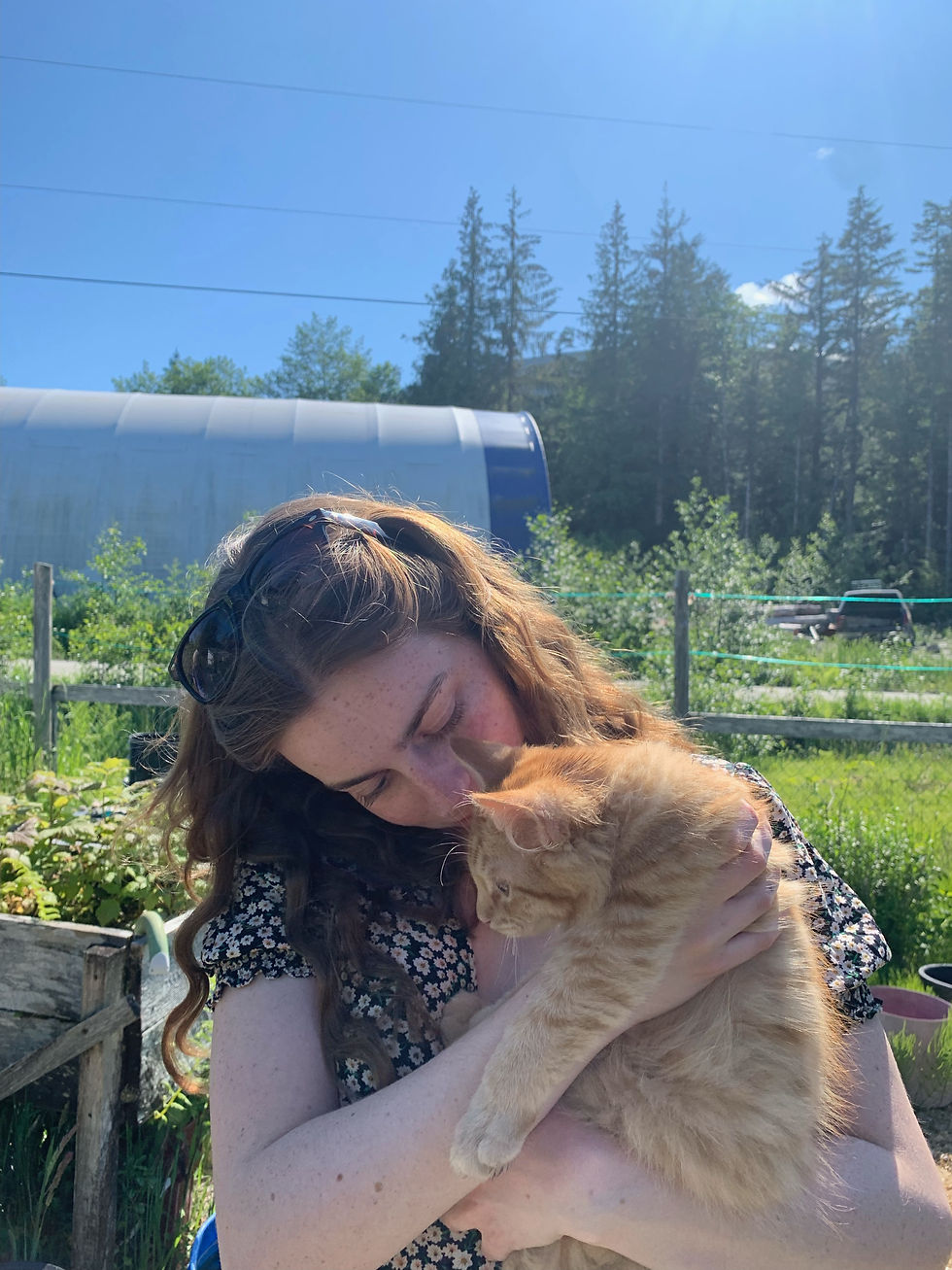 Hooray For Hump Day!