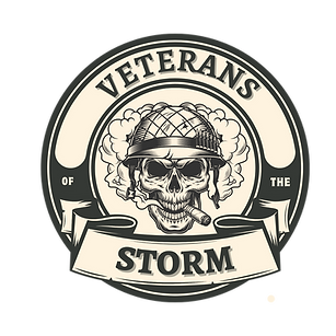 VETERANS OF THE STORM logo