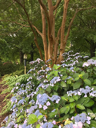 Tryon Garden Club