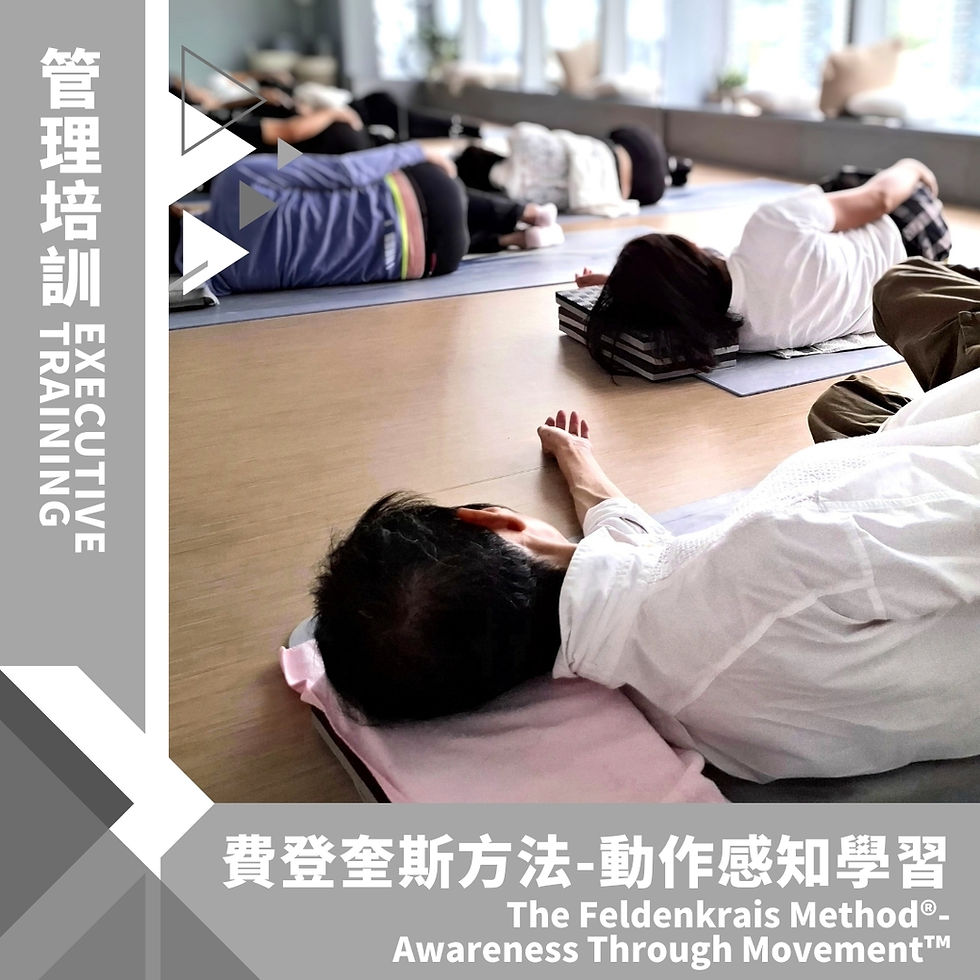 費登奎斯方法- 動作感知學習