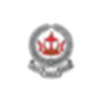 LOGO AYOF ORCHESTRA_300px-03.jpg