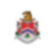 LOGO AYOF PARTNERS_300px-05.jpg