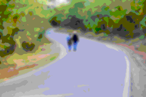 Thumbnail of walkers on a country road
