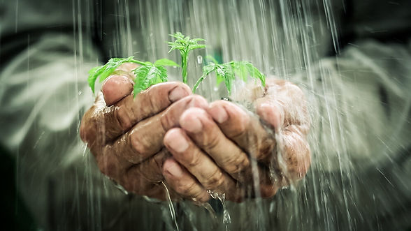soil-and-water-conservation-Depositphoto