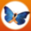 ASIF butterfly in a circle