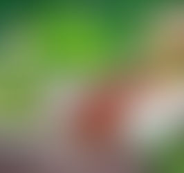 The Difference Between Cell Salt 6X and Homeopathic Remedy 6X