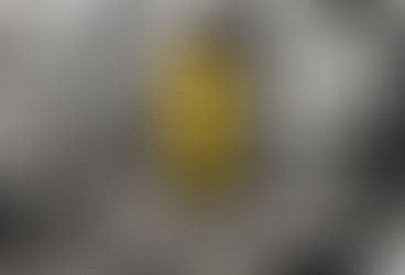 Homeopathy For Anxiety Disorders