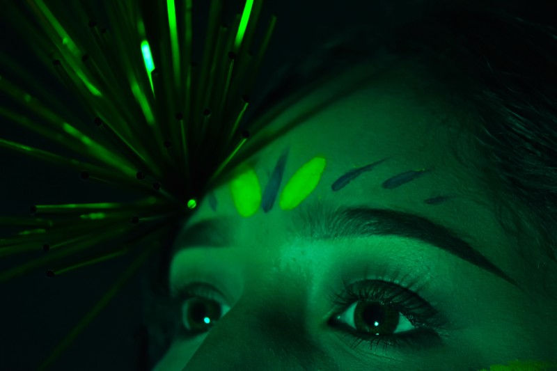 DiagoKitziaColorTheoryA