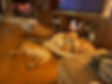 Lazy winter evening.jpg