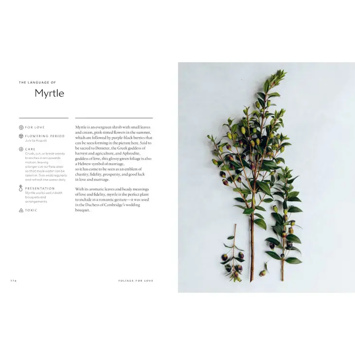 Thumbnail: Escape to Cottagecore Hardcover Book