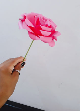 20190516_121743_646.jpg