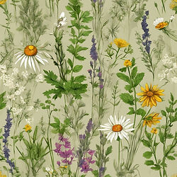 Image of herbs
