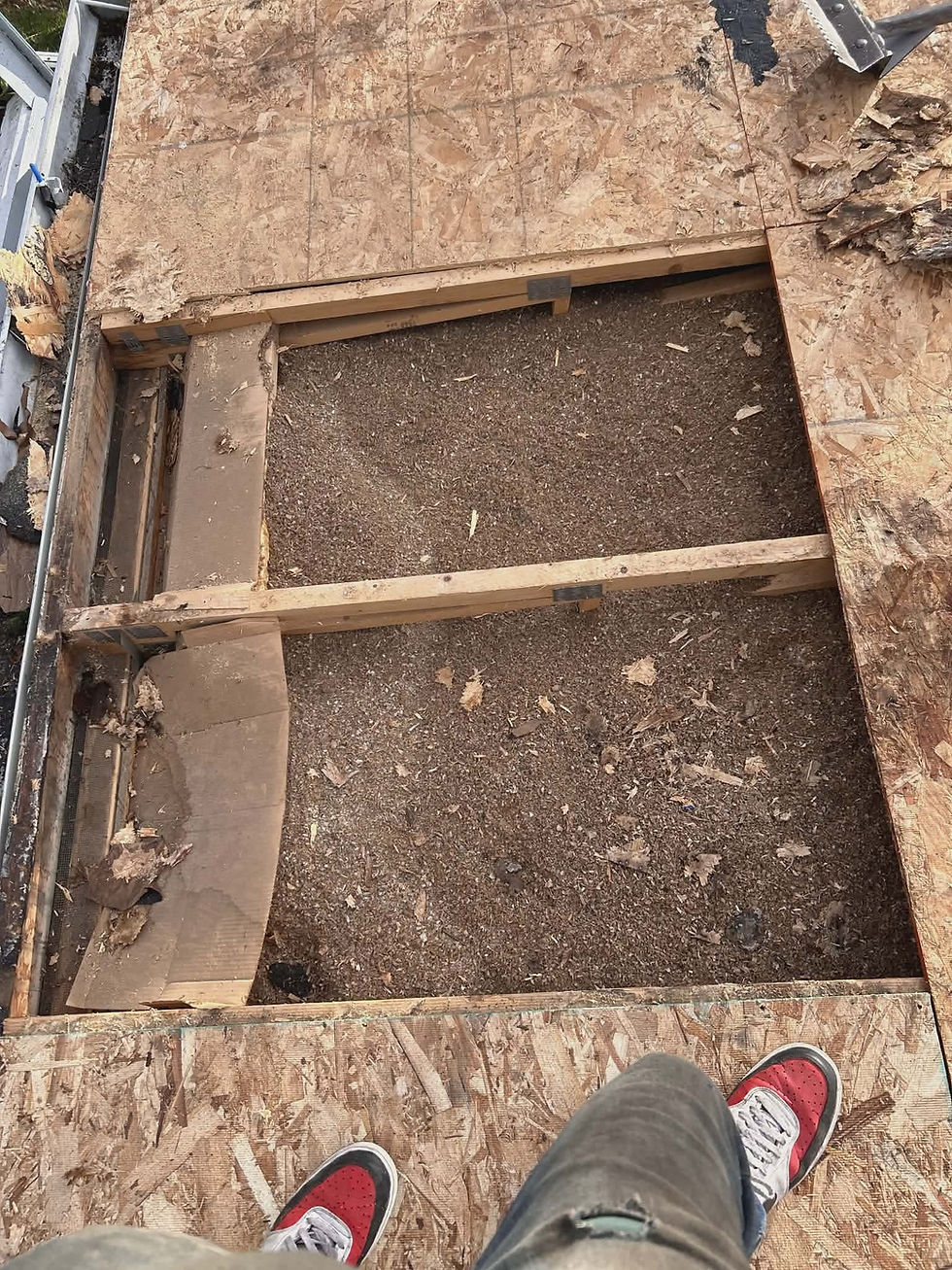 Rotted roof decking caused by long-term leaks in Oregon home