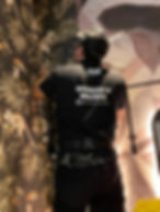 high-quality wallpapers and backgrounds