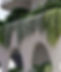 planters 2.jpeg