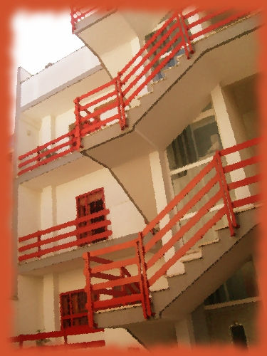 11.JPG