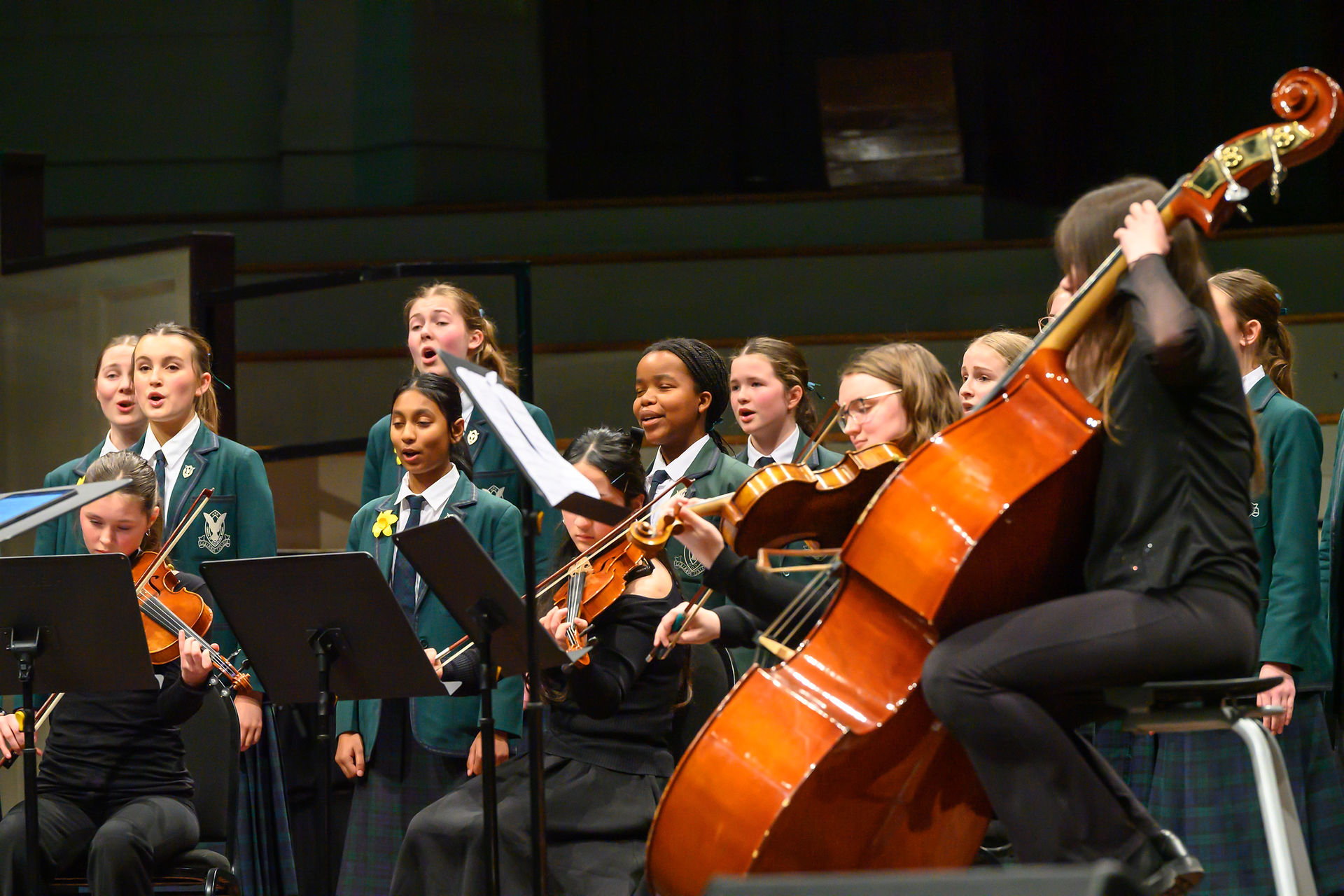 School orchestra