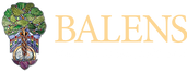 Balens Professional Insurance