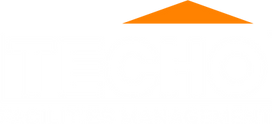 techo logo1.png
