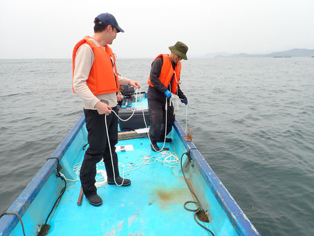 志摩の藻場調査