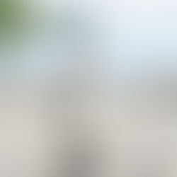 The Art of Fighting without Fighting