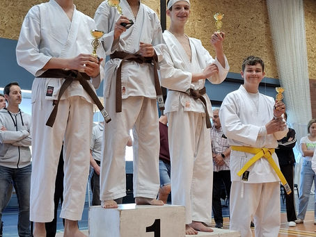 Shotokan cup