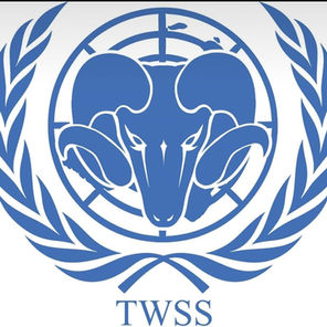 Model UN at The Woodlands