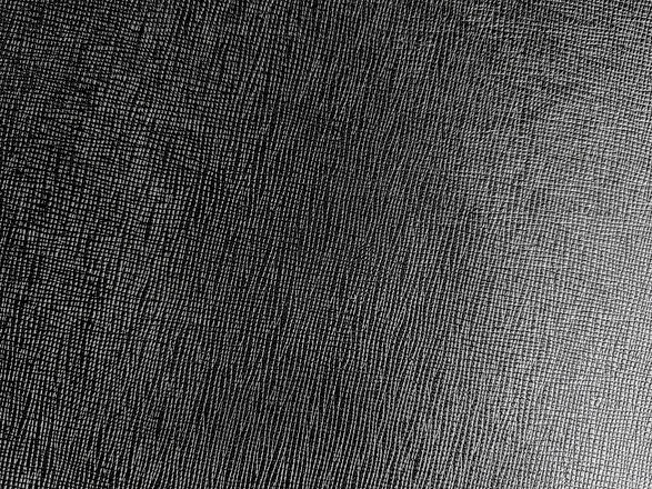 IMG_20200820_160702_edited.jpg
