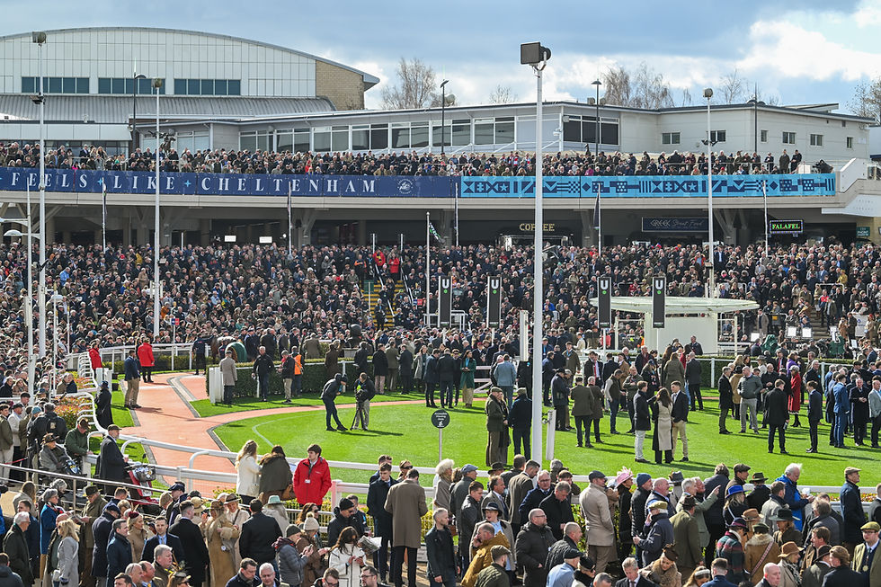 Racing Breaks Legends Lounge