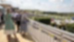 The Final Furlong