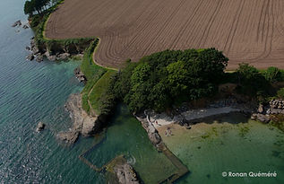 ST LAURENT VUE AERIENNE RQUEMERE plages
