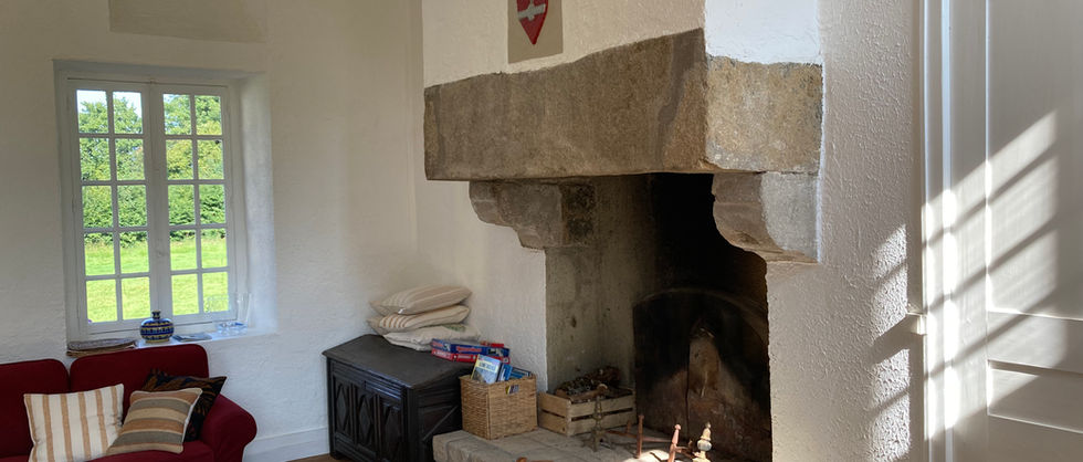 Domaine de la Motte-Basse - Gîte de l'Orangerie - Cheminée