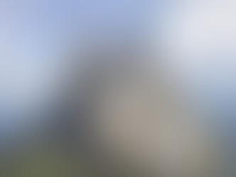 Unveiling the Magic: Raphael Fimm's Enchanting Journey into A Magic Kingdom