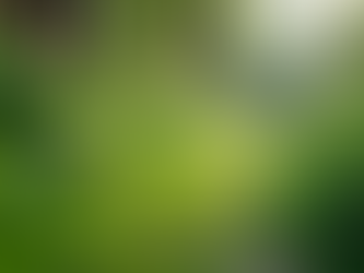 The Importance of Sustainable Living in Today's World