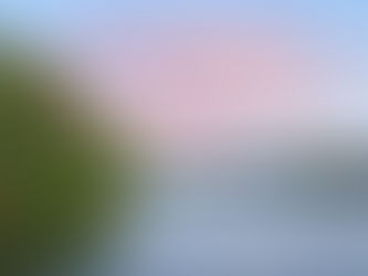 Vonage PILOT and Petitions