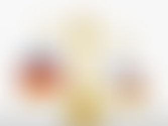 Presidential Election Special Virtual Event