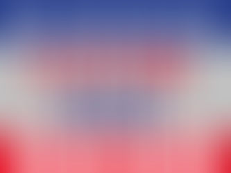 Primary Election Edition