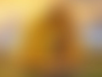 What's Buzzing in September at the Beahive: Insights from the Queen Bees