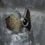 Thumbnail: Sterling Silver and Blue Topaz Hatchet Ring