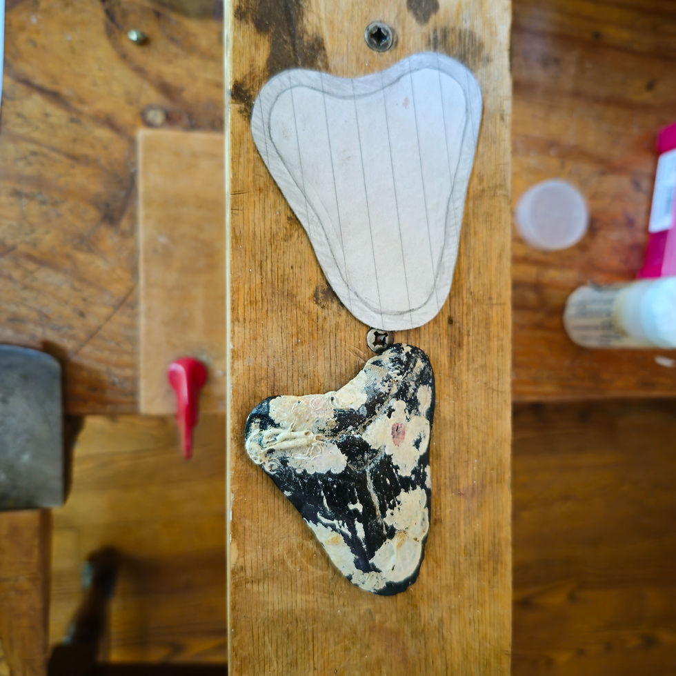 Thumbnail: Megalodon Meg tooth sterling silver buckle on bench